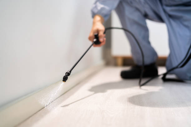 Pest Control Cost in Chilhowie, VA